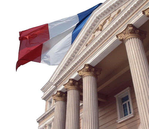 铃鹿复合建材在上海 创新与品质驱动装饰材料行业发展